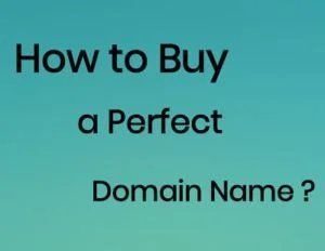 Buy a Perfect Domain