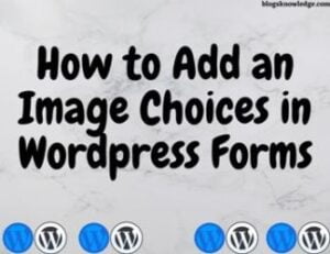 add image in wordpress forms