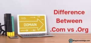difference between .com vs .org